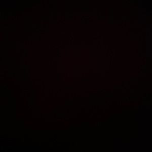 Meet your Posher, Dylan